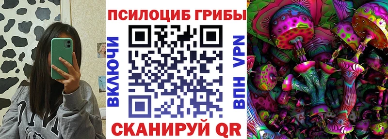 где найти   Таруса  Галлюциногенные грибы GOLDEN TEACHER 